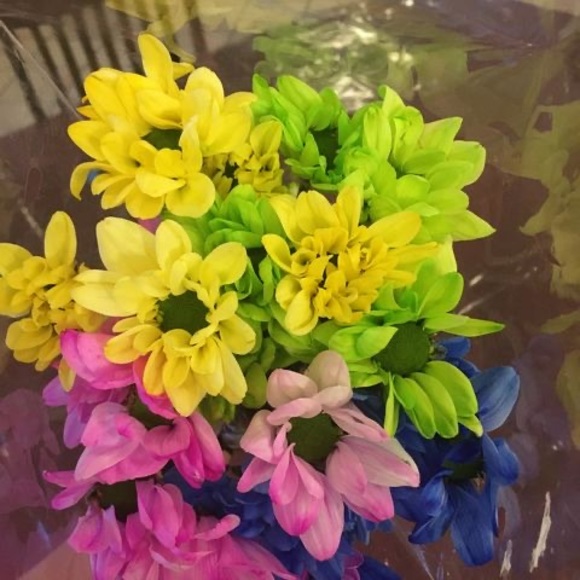 Meet your Posher, Tanya - Picture 1 of 1